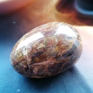 Petrified Wood Egg #10a