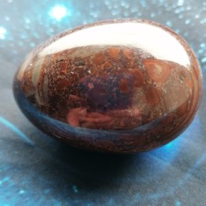 Petrified Wood Egg #10b