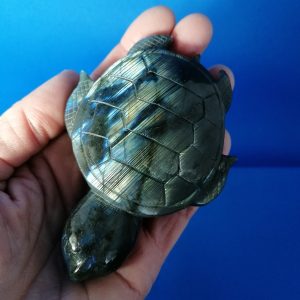 High Flash Labradorite Turtle #20